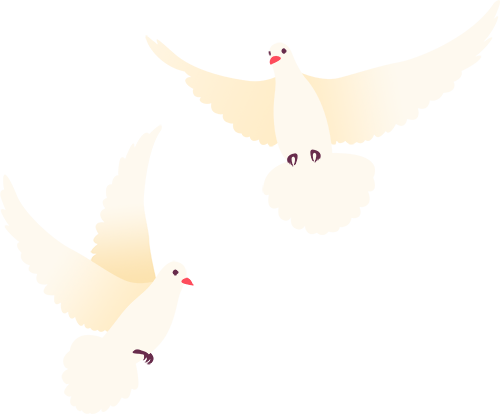 ZGVDt, 执行了赛前 ZGVDt, 执行了赛前