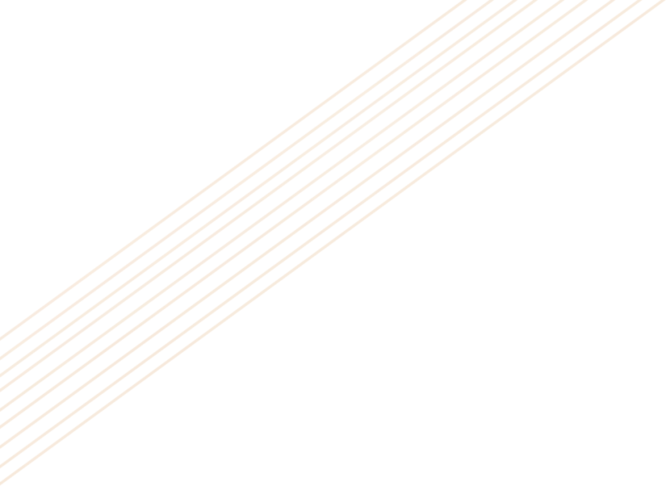 仅针对本公 仅针对本公